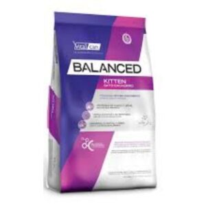 vital can balanced kitten