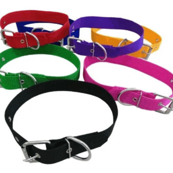 Collar